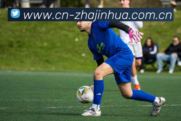 炸金花网站平台生态图